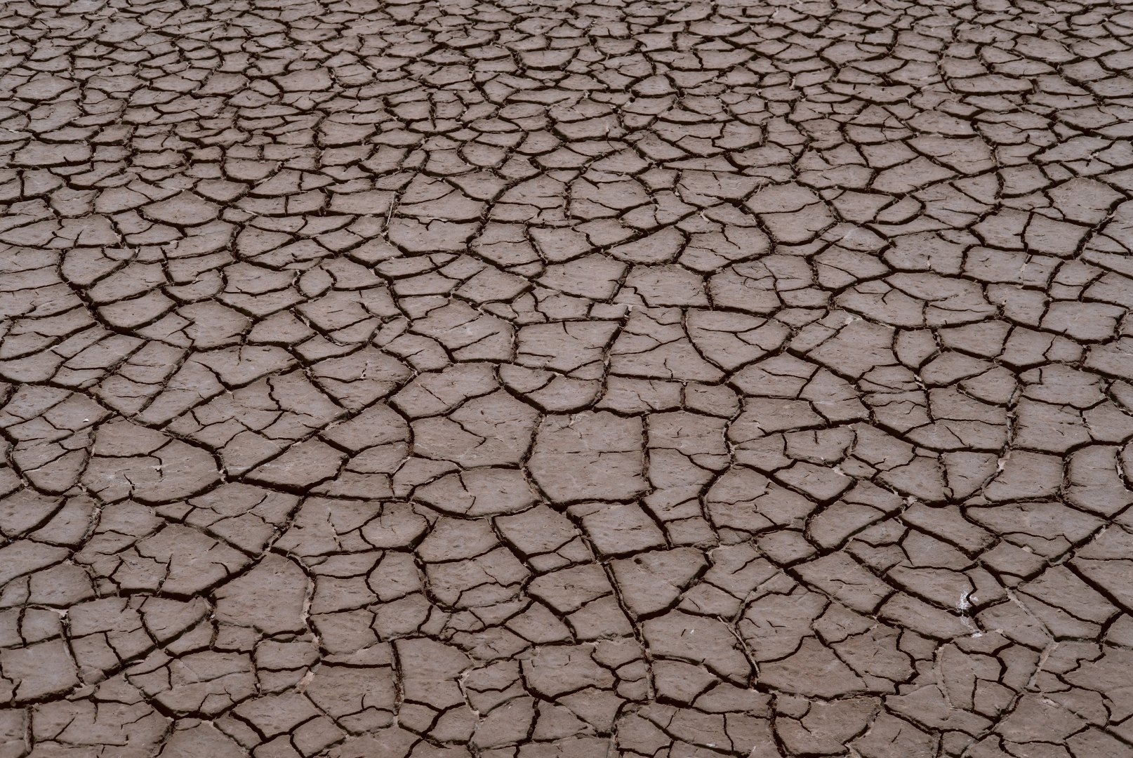 COMPENSATION FOR ENVIRONMENTAL DAMAGE MAY BECOME ONE OF THE MAIN PROBLEMS IN RUSSIA